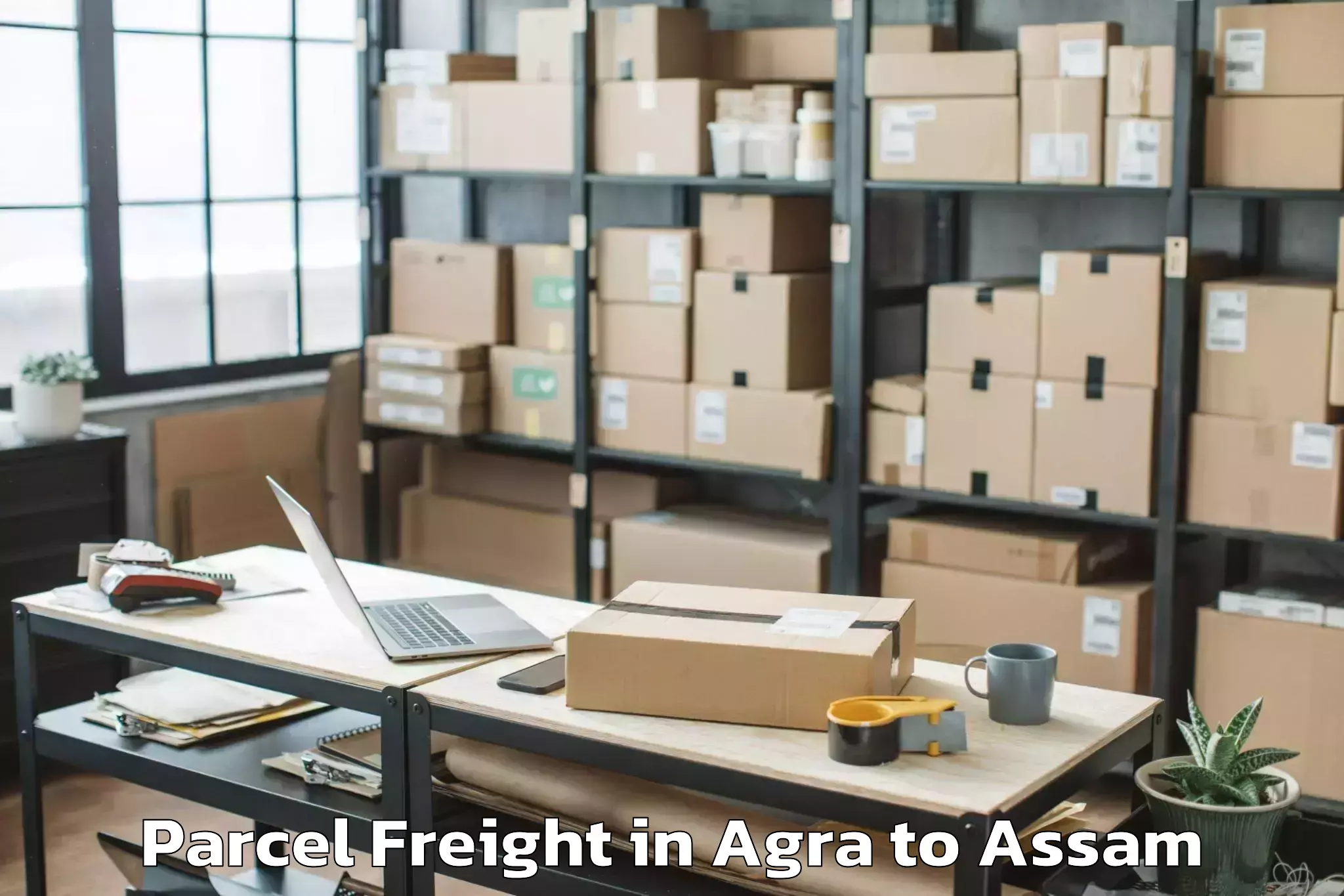 Agra to Balijan Parcel Freight Booking